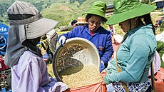 Práce na rý�ových polích v okolí Sapy ve Vietnamu (8. zá�í 2025)
