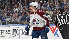 Martin Ne�as (88) z Colorado Avalanche slaví gól.