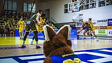 Momentka ze zápasu Ústí nad Labem - Opava