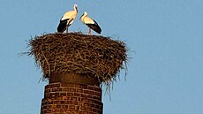 �apí dvojici na komín� ve Spáleném Po�í�í na Plze�sku ohrozil dron. (27. února...