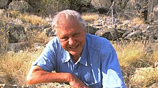 David Attenborough (2008)