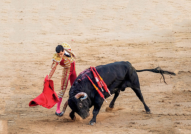 Dechberoucí tanec se smrtí. Krvavá korida rozděluje Španěly, přesto bývá vyprodáno