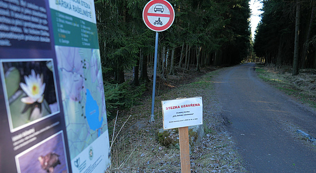 Mizející druhy dostaly šanci. U Dářka končí obnova rašelinišť za miliony korun