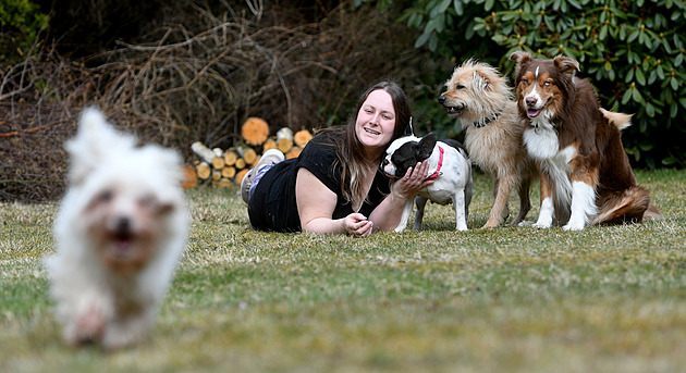 Pracuje s problémovými psy. Největší chybou je jejich polidšťování, říká žena