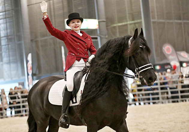 Zemědělský veletrh se mění na Agrishow. Ukáže traktory, zvířata i dřevorubce