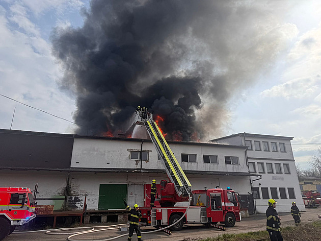 Dým nad Žižkovem. Hoří ubytovna, obyvatele zachraňují s pomocí žebříků