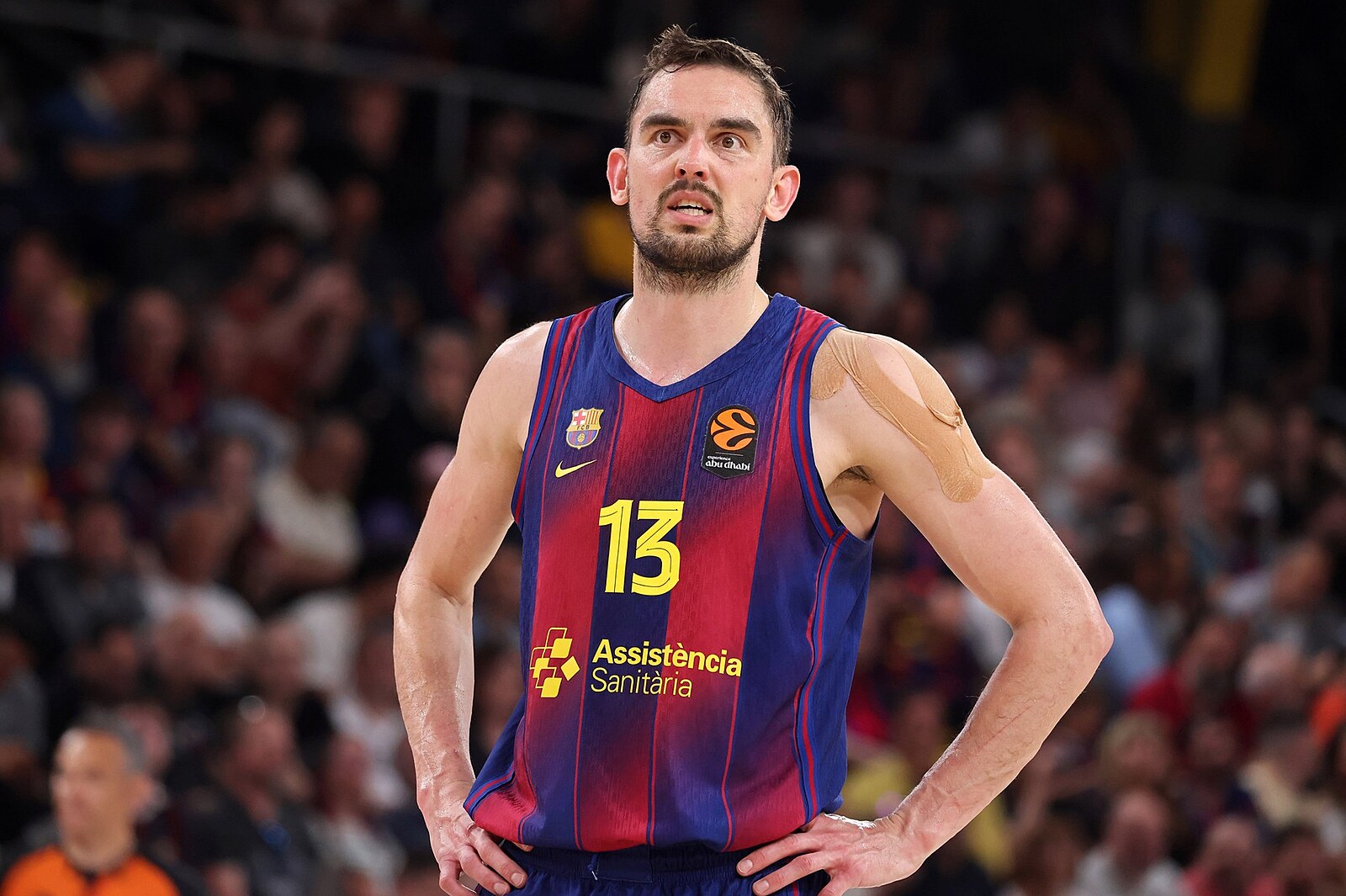 Satoranský je podeváté Basketbalistou roku, mezi ženami poprvé slaví Čechová | Sport