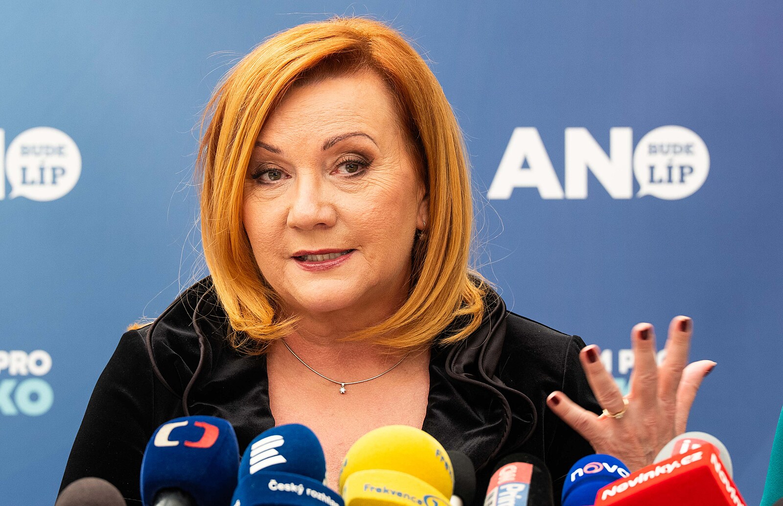 Moc vás tu není, sedm, pecka, divila se Schillerová nezájmu opozice o schůzi