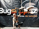 V shibari se snoubí estetika, intimita, hra s mocí, dominancí a pod�ízeností,...