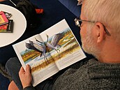 P�íb�h pro d�ti mapuje �ivot je�áb� popelavých v pr�b�hu celého roku.