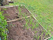 Sídli�t� Solidarita