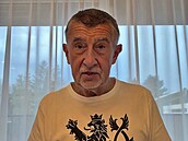 Vláda zatrhla Vystr�ilovi letoun na Tchaj-wan. A� cestuje linkou, �ekl Babi�...