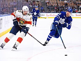 Tomá� Nosek (vlevo) z Floridy  a  Matthew Knies z Toronta.