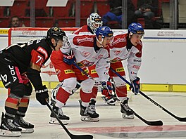 P�ípravný hokejový zápas, �esko - N�mecko.