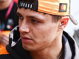 Pilot F1 Lando Norris