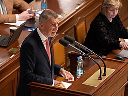 Premiér Andrej Babi� u �e�nického pultu na mimo�ádné sch�zi Poslanecké...