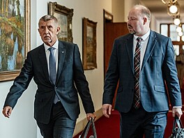 Premiér Andrej Babi� a ministr spravedlnosti  Jeroným Tejc p�ichází na jednání...