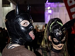 Podtrhn�me, �e veletrh Erofest nabídl docela umn� a pe�liv� seskládanou...