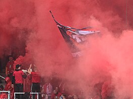 Slávisti�tí fanou�ci b�hem utkání v Hradci