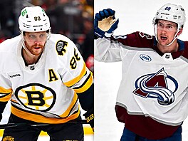 �e�tí hokejisté David Pastr�ák a Martin Ne�as.