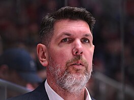 T�inecký trenér Boris �abka.