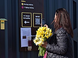 V Poho�ílkách u Fulneku si lidé na poli mohou nasbírat narcisy a tulipány....