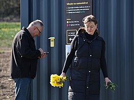 V Poho�ílkách u Fulneku si lidé na poli mohou nasbírat narcisy a tulipány....