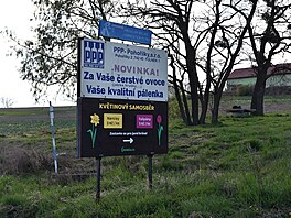 V Poho�ílkách u Fulneku si lidé na poli mohou nasbírat narcisy a tulipány....