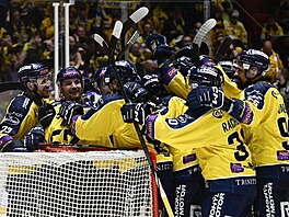 Zlín�tí hokejisté slaví výhru v Jihlav�.