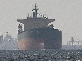 Nákladní lod� u Hormuzského pr�livu na snímku z 11. b�ezna 2026