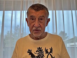 Vláda zatrhla Vystr�ilovi letoun na Tchaj-wan. A� cestuje linkou, �ekl Babi�...