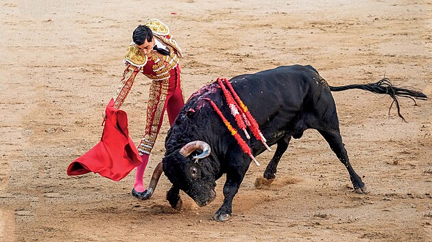 Souboj �lov�ka s b�kem. Na �ivot a na smrt. Ve �pan�lsku za�ala sedmim�s��n�...