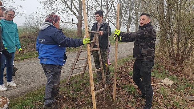 Do sázení strom� v obci Stebnice se zapojilo zhruba deset dobrovolník�.
