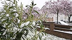 ŘidiÄ�e v Plzeňsk�©m kraji překvapilo rann�­ snÄ�žen�­, staly se nehody