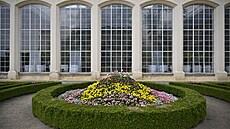 V KvÄ�tn�© zahradÄ� v KromÄ�ř�­ži rozkvetly cibuloviny, postupnÄ� se obmÄ�ňuj�­