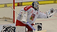 V p�ípravném duelu s N�meckem zasahuje �eský branká� Petr Kvá�a.