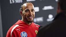 Pilot F1 Lewis Hamilton