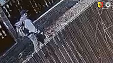 Kriminalisté pátrají po neznámém mu�i, který p�epadl dev�tasedmdesátiletou...