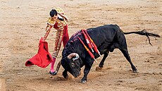 Souboj �lov�ka s býkem. Na �ivot a na smrt. Ve �pan�lsku za�ala sedmim�sí�ní...