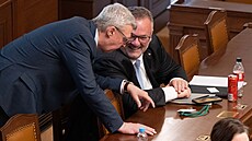 Karel Havlí�ek (ANO) a Ivan Bednárik na mimo�ádné sch�zi Poslanecké sn�movny,...
