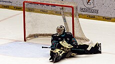Karlovarský branká� Dominik Frodl po rozhodujícím gólu, který mu dal t�inecký...