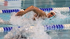 Barbora Seemanová na trati 200 metr� volný zp�sob na Velké cen� Ostravy.