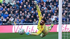Liverpoolský branká� Giorgi Mamarda�vili