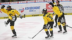 Litvínov�tí hokejisté se radují z gólu Nicolase Hlavy.