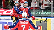 Pardubi�tí hokejisté i fanou�ci se radují z gólu Romana �ervenky.