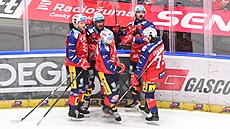 Pardubi�tí hokejisté slaví vst�elený gól.