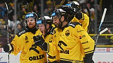Litvínov�tí hokejisté se raduji z gólu Matú�e Suke�a .