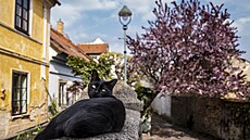 Rozkvetlé jaro v legendární pra�ské ulici Na kocourkách.