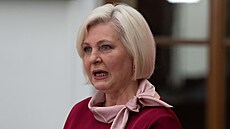 Poslanecká sn�movna. Tisková konference Starost�   V�ra Ková�ová. (16. dubna...