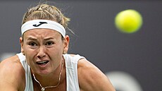 Marie Bouzková v utkání BJK Cupu proti �výcarsku